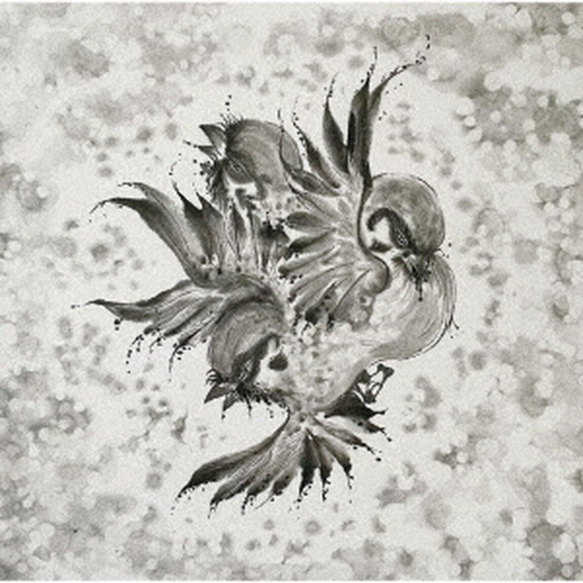 FLOW／United　Sparrows（初回生産限定盤）（ＣＤ）