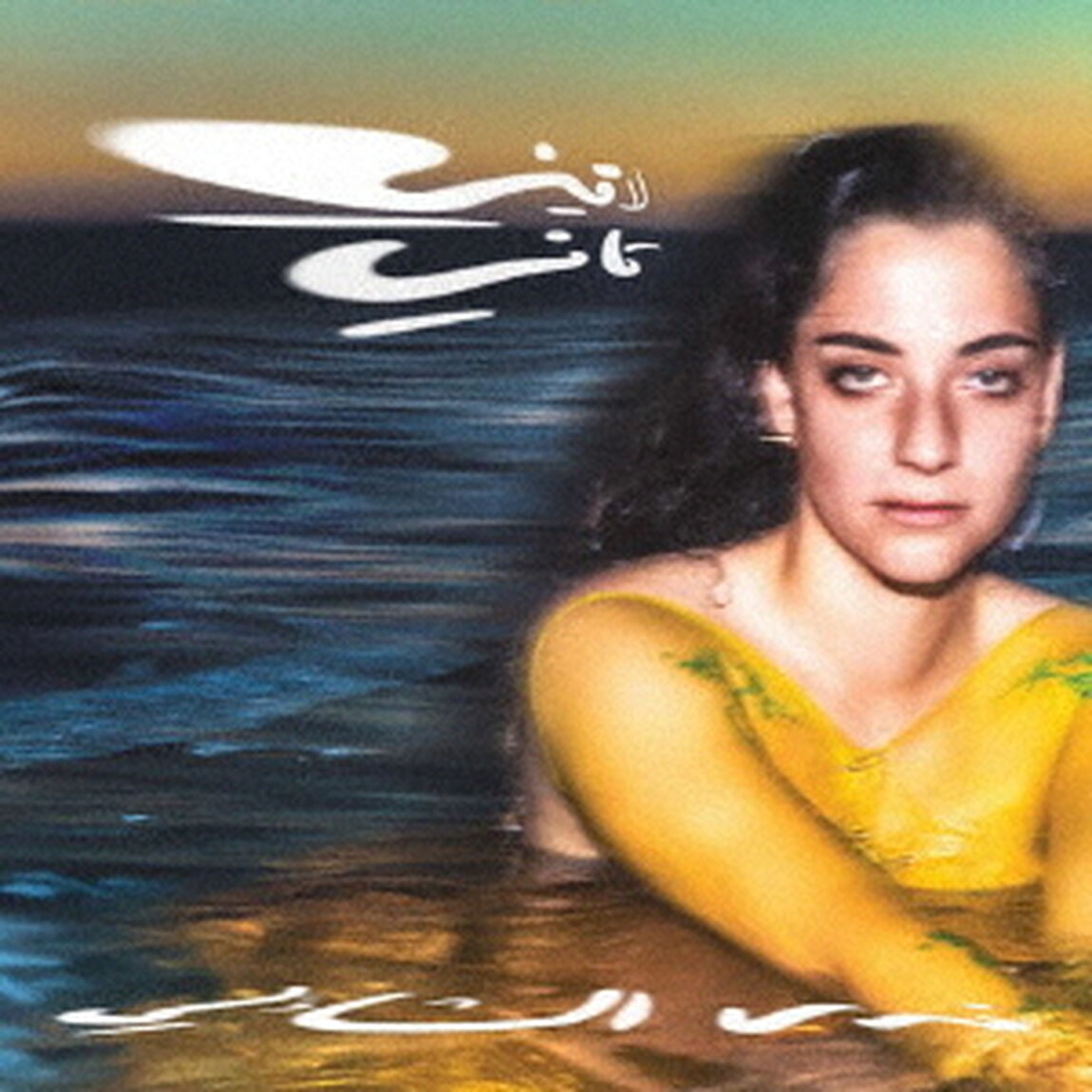LAINI　TANI（ＣＤ）