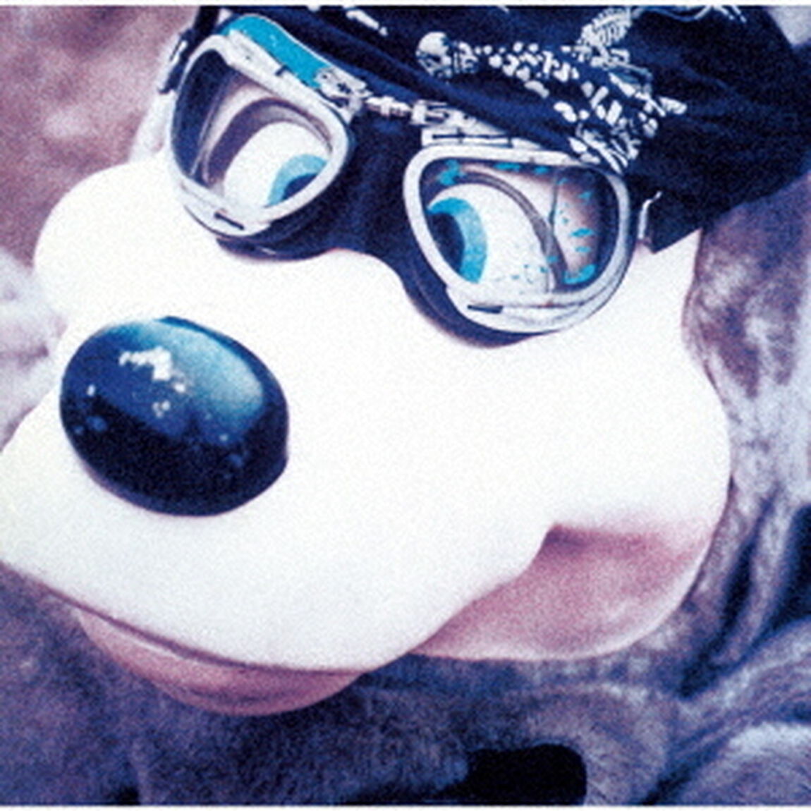 C．B．Jim（ＣＤ）