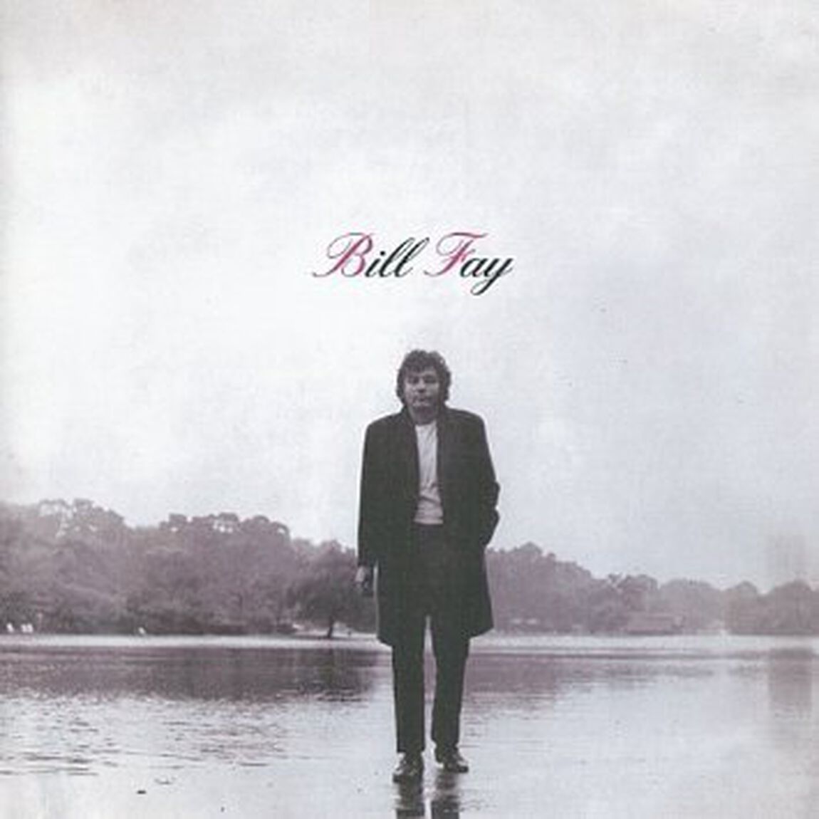 BILL　FAY（ＣＤ）