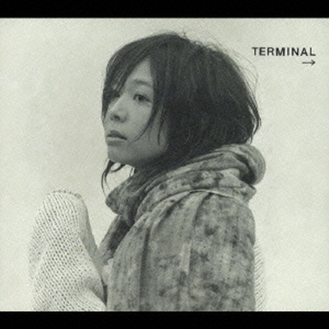 TERMINAL（ＣＤ）