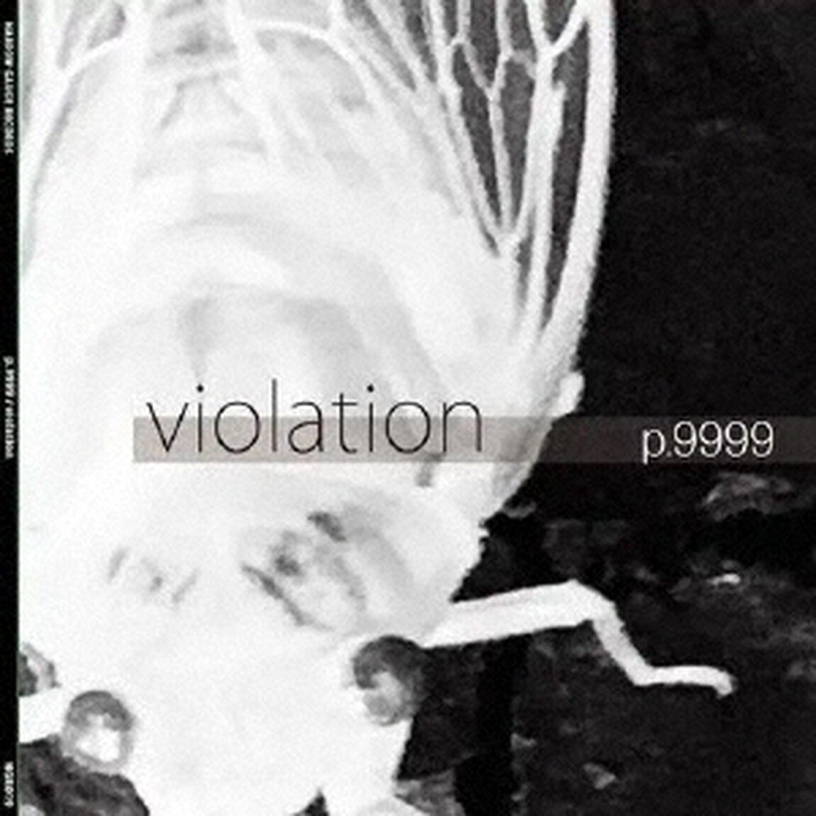 violation（ＣＤ）