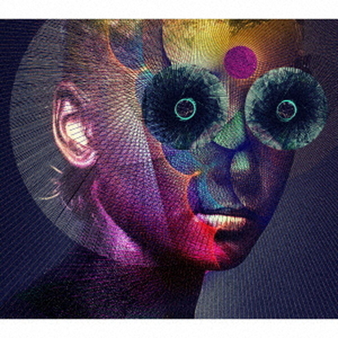 THE　INSULATED　WORLD（ＣＤ）