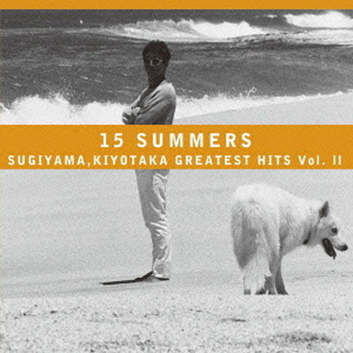 15　SUMMERS　SUGIYAMA，KIYOTAKA　GREATEST　HITS　Vol．Ⅱ（ＣＤ）