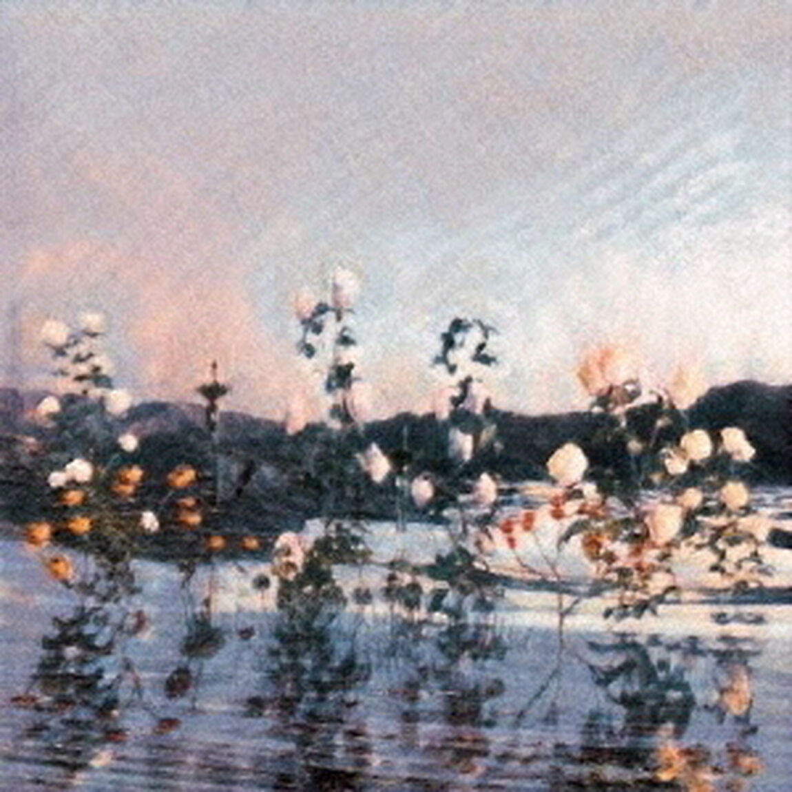 あたらよ／泡沫の夢は幻に（初回生産限定／CD＋グッズ）（ＣＤ）