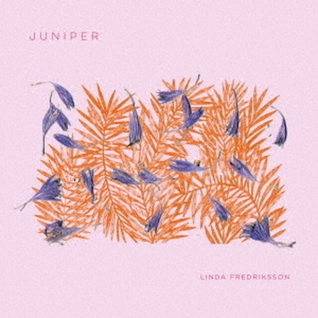 ジュニパー（ＣＤ）