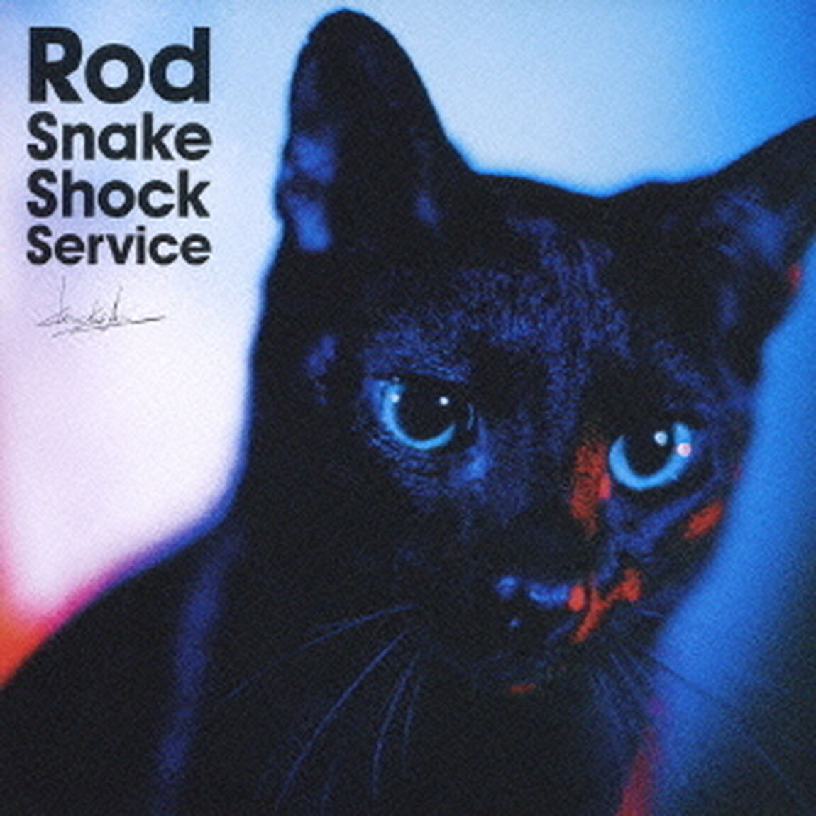 Rod　Snake　Shock　Service（ＣＤ）