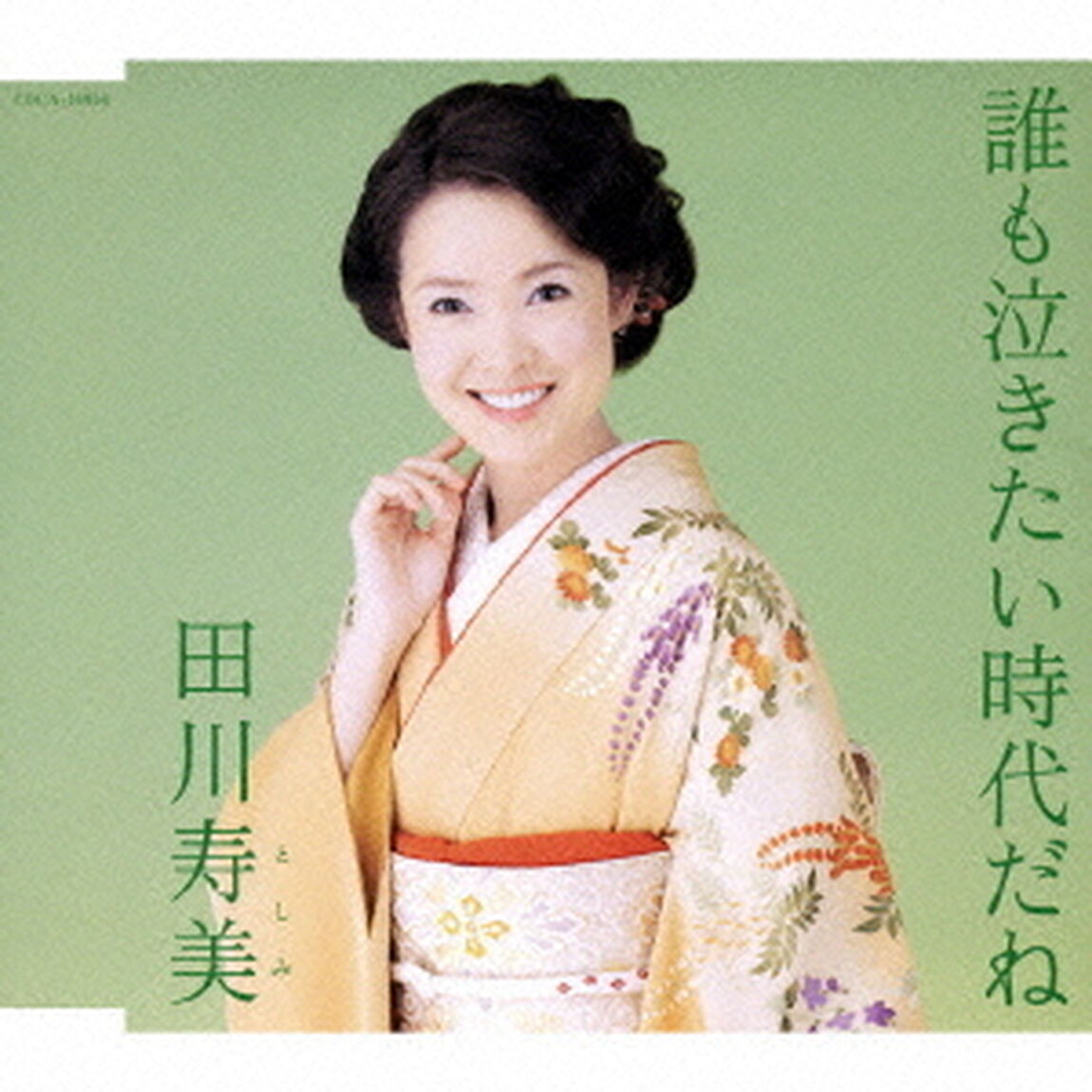 誰も泣きたい時代だね（ＣＤ）