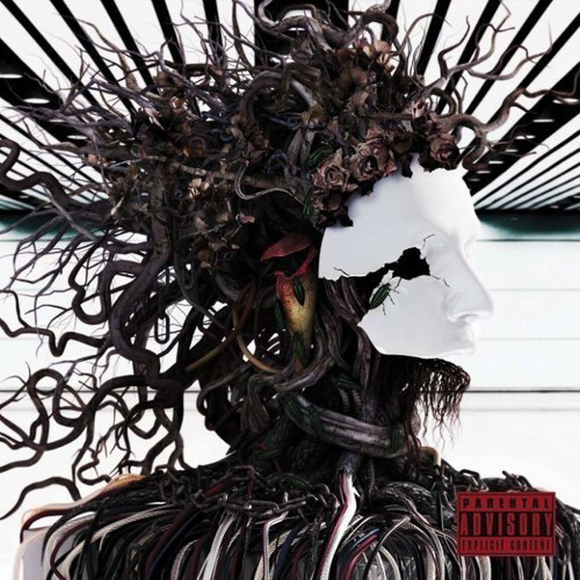 DISTRESS　AND　COMA－Auditory　Impression－（CDシングル）
