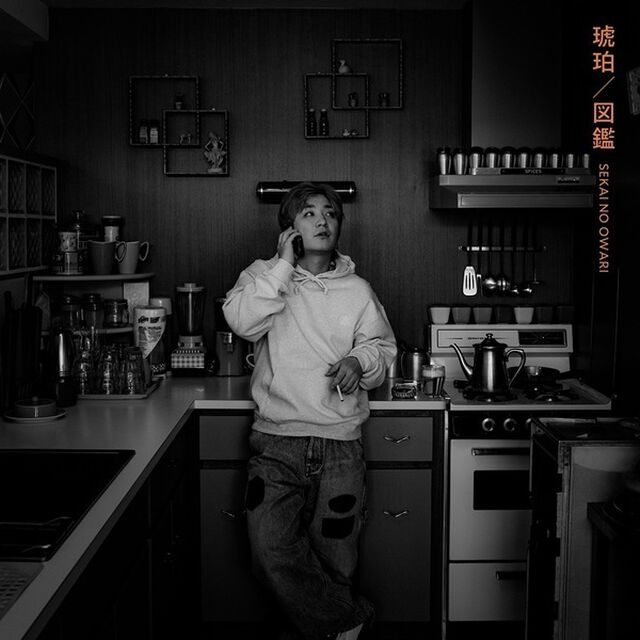 SEKAI NO OWARI／琥珀 / 図鑑（通常盤A／CD）（ＣＤ）