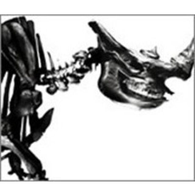 Mr．Children　1996－2000（ＣＤ）