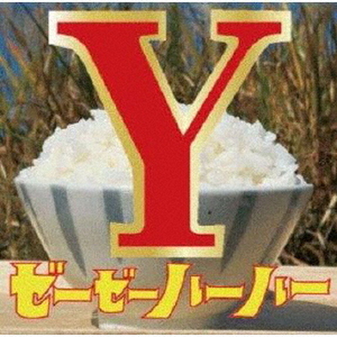 Y（ＣＤ）