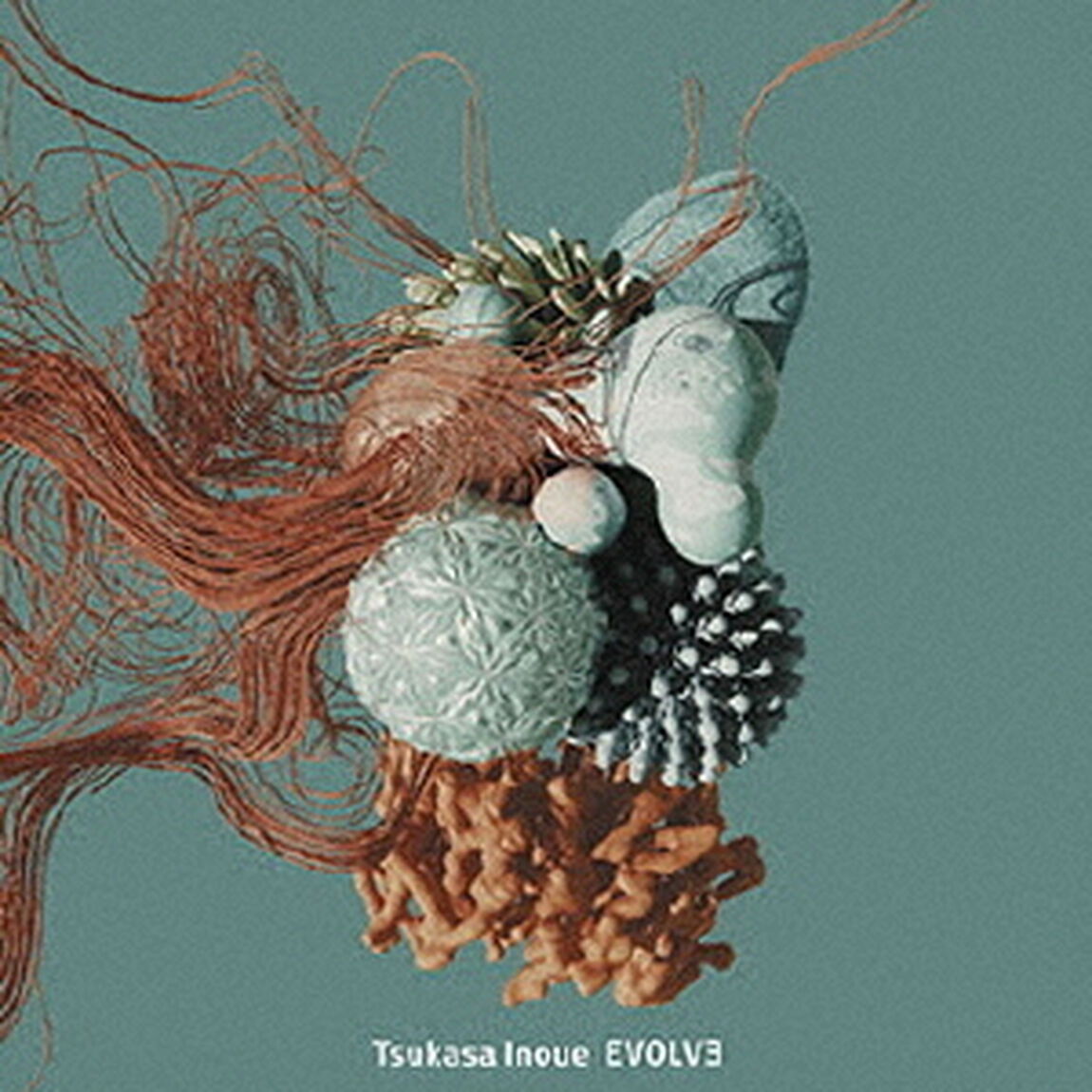EVOLVE（ＣＤ）