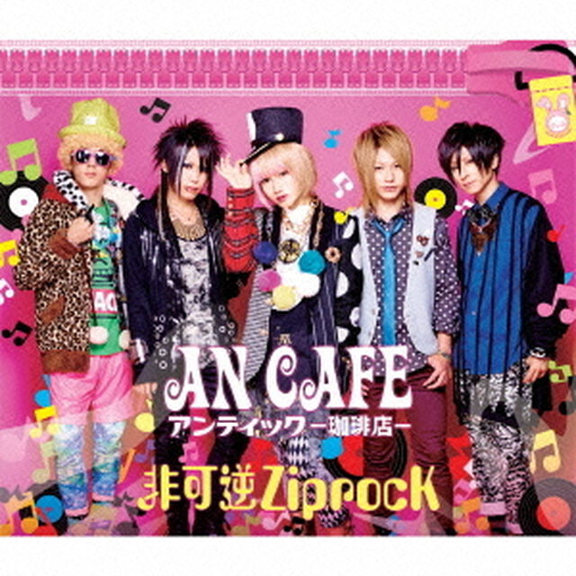 非可逆ZiprocK（ＣＤ）