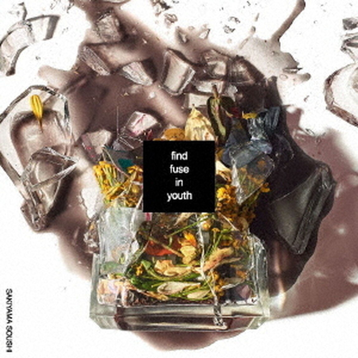 崎山蒼志／find fuse in youth（初回生産限定盤）（ＣＤ）