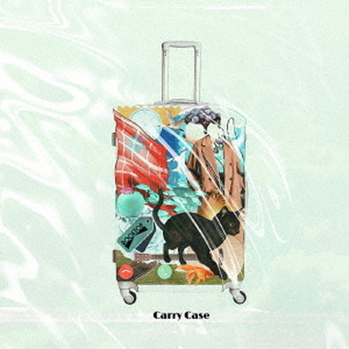 Carry　Case（ＣＤ）