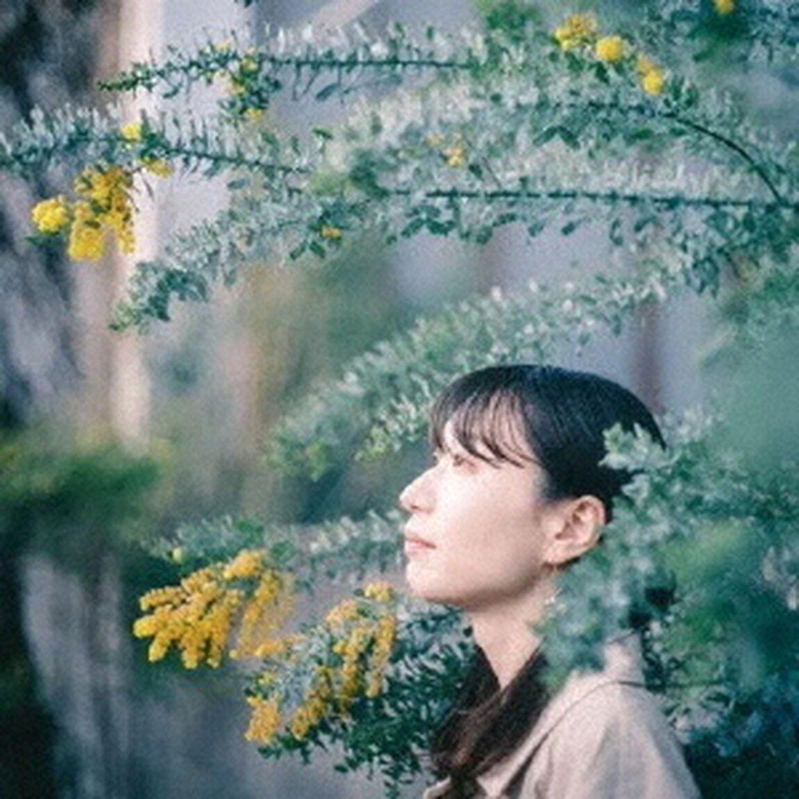 想いの消息（ＣＤ）