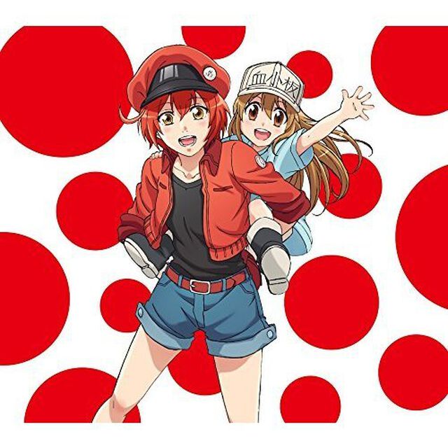 ClariS／CheerS（期間生産限定盤／CD+DVD）（ＣＤ）