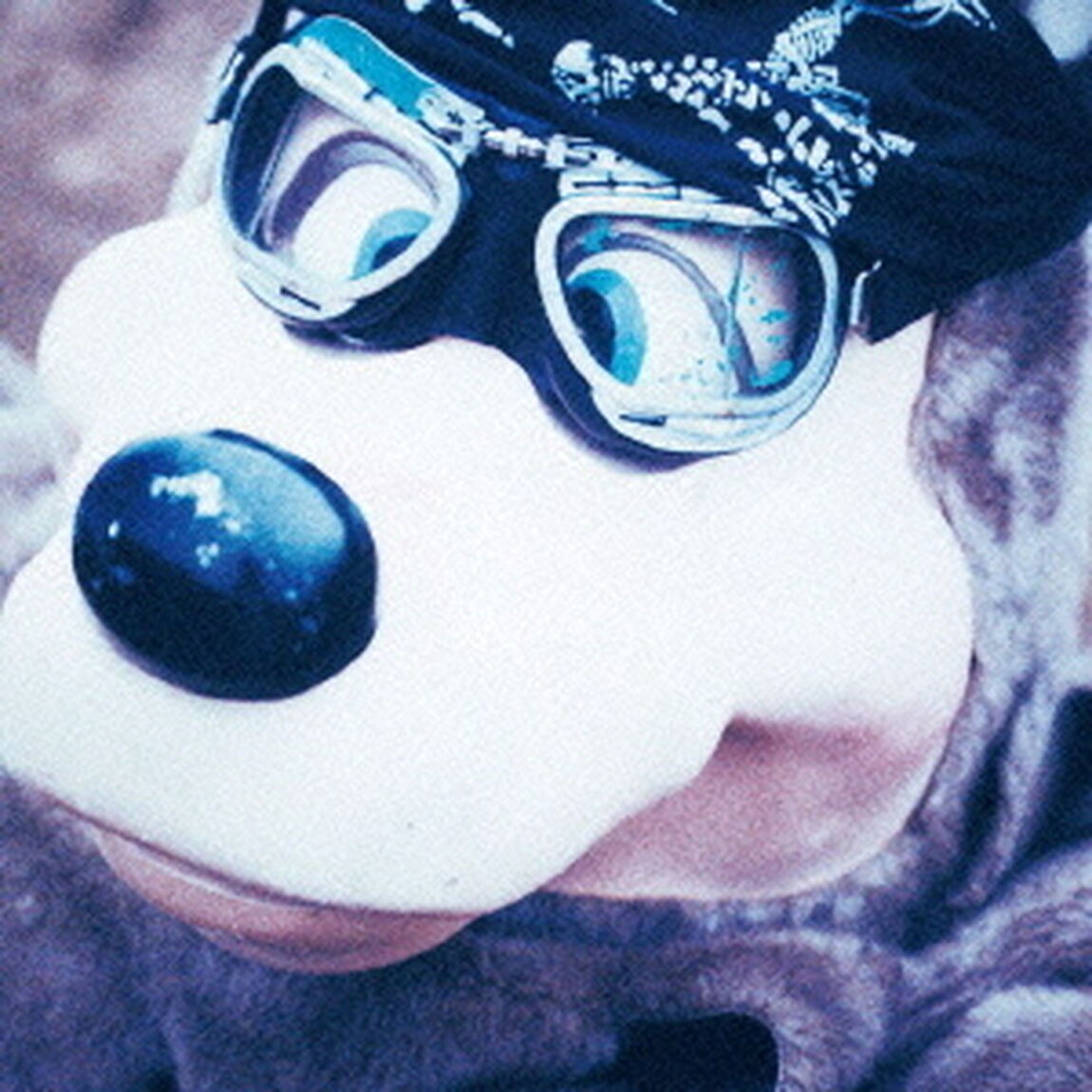 C．B．Jim（ＣＤ）