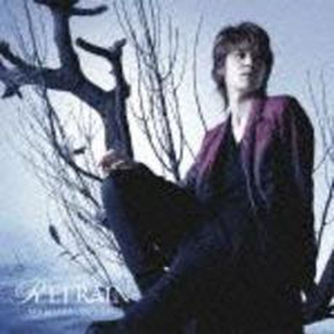 REFRAIN（ＣＤ）