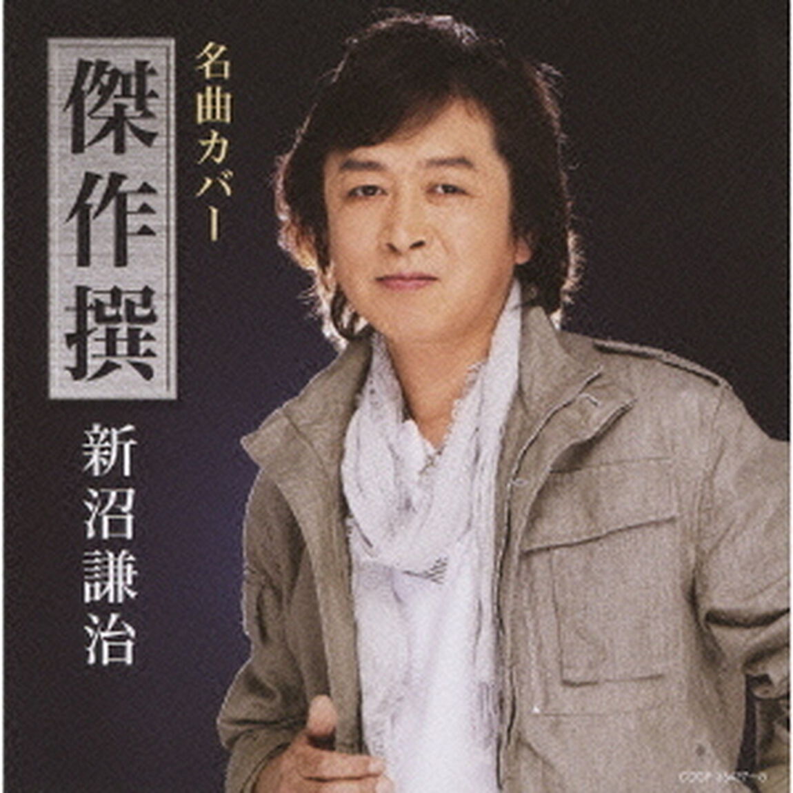 名曲カバー傑作撰　新沼謙治（ＣＤ）