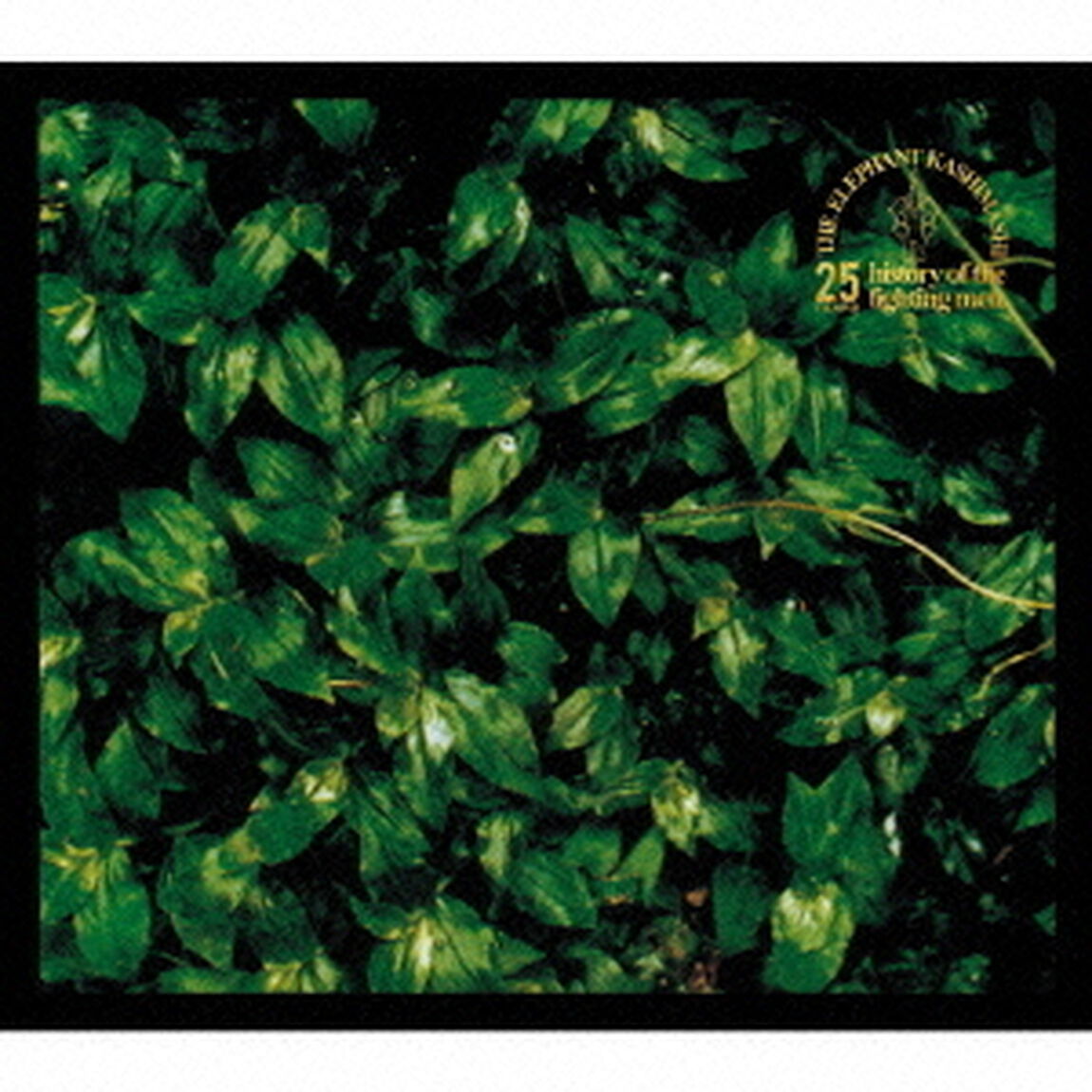 the　elephant　kashimashi　25th　anniversary　great　album　deluxe　edition　series　2　ココロに花を　deluxe　edition（ＣＤ）