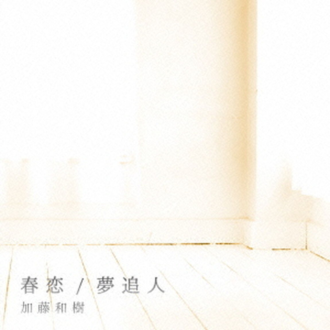 春恋／夢追人（ＣＤ）