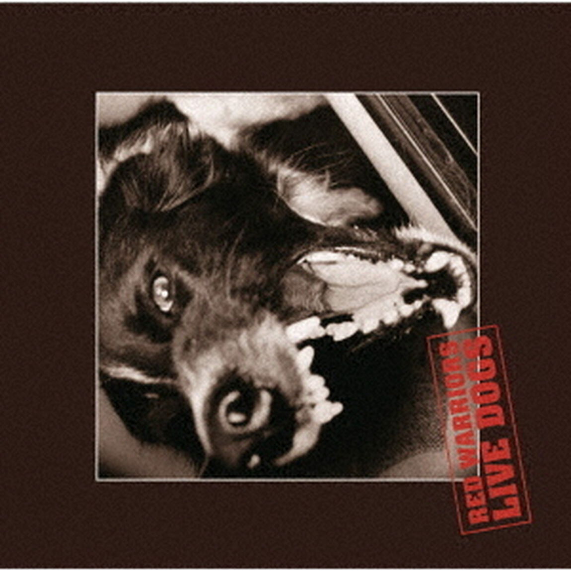 LIVE　DOGS（ＣＤ）