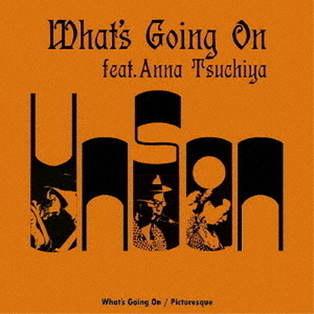 What&rsquo;s　Going　On　feat．Anna　Tsuchiya　C／W　Picturesque（EP盤（アナログ盤））