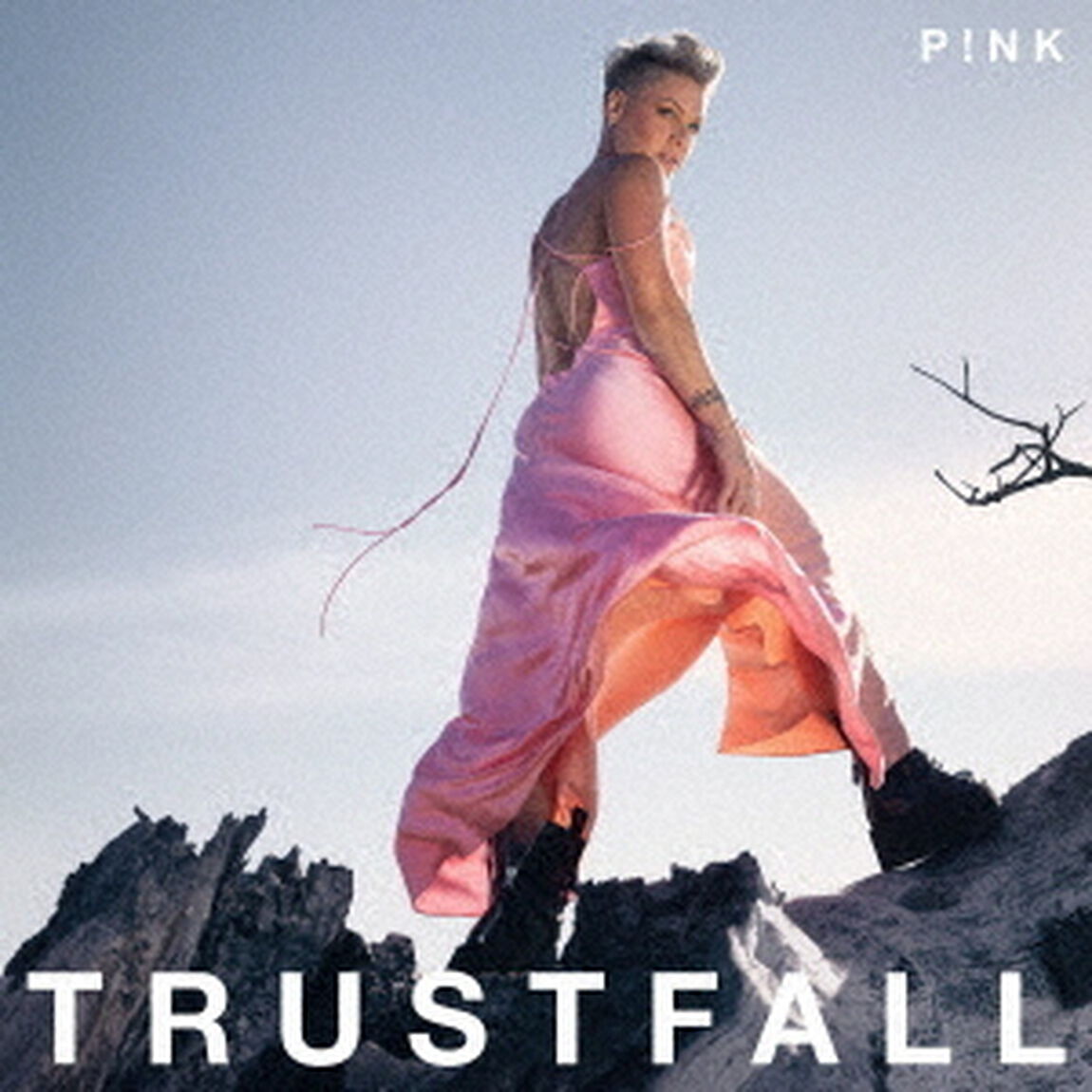 P！NK／トラスト・フォール（ＣＤ）