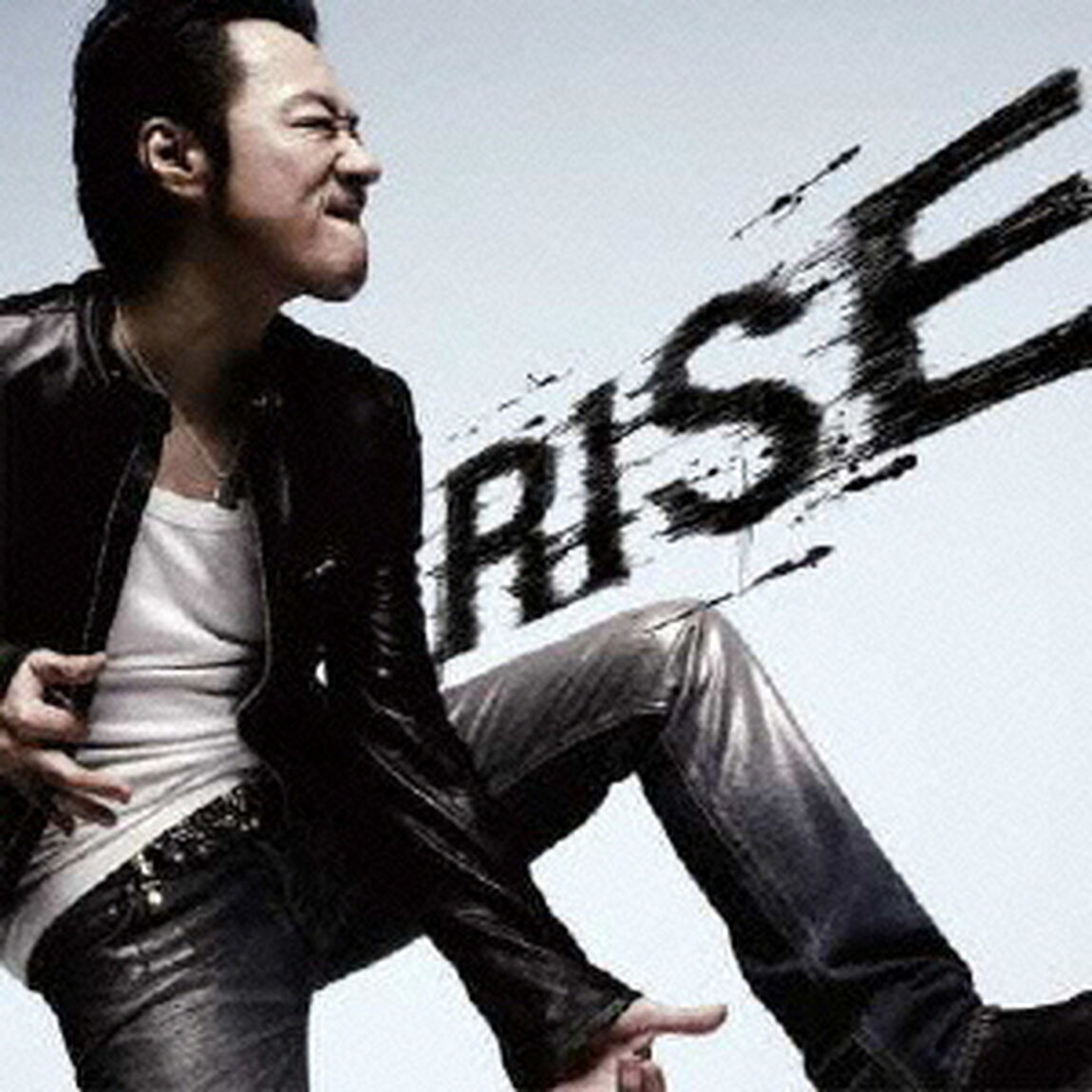 RISE（ＣＤ）