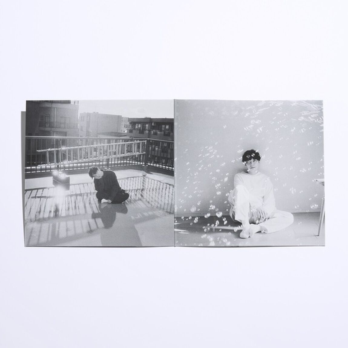 星野源／Gen（生産限定盤／2LP）（アナログ盤）【追加プレス】（LP盤（アナログ盤））