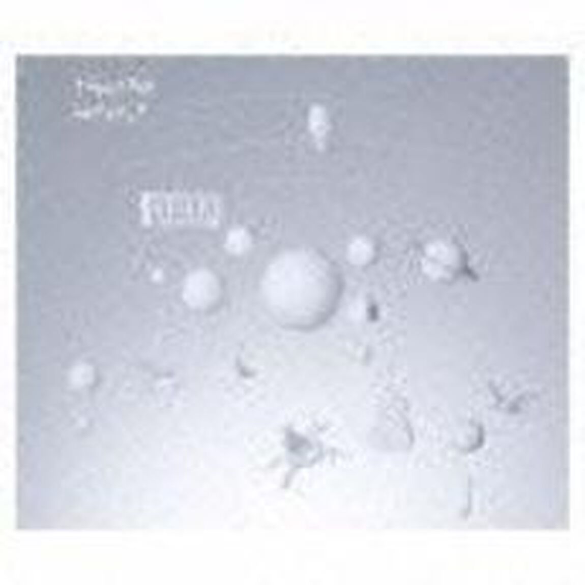ナユタとフカシギ（初回生産限定盤）（ＣＤ）