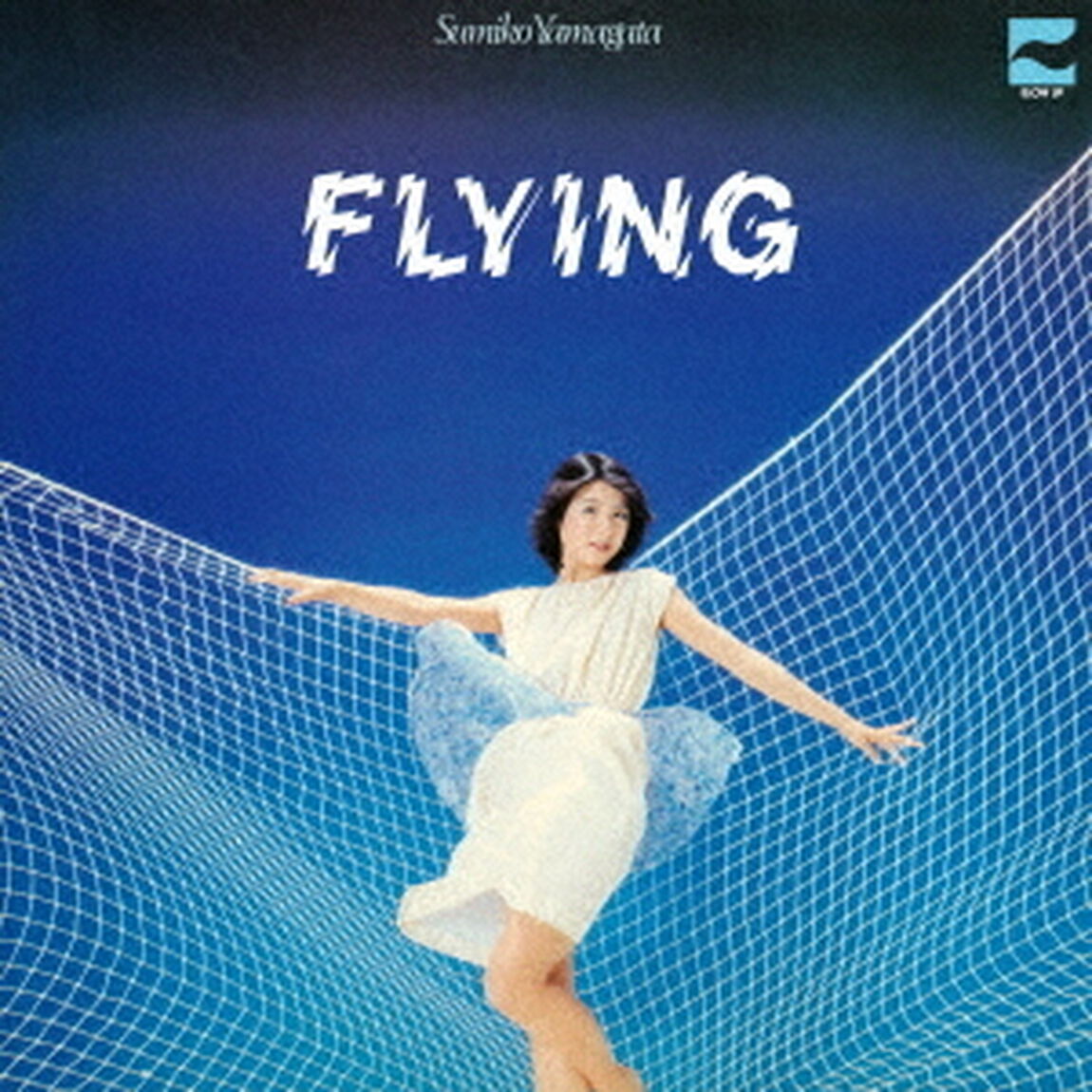 FLYING（LP盤（アナログ盤））