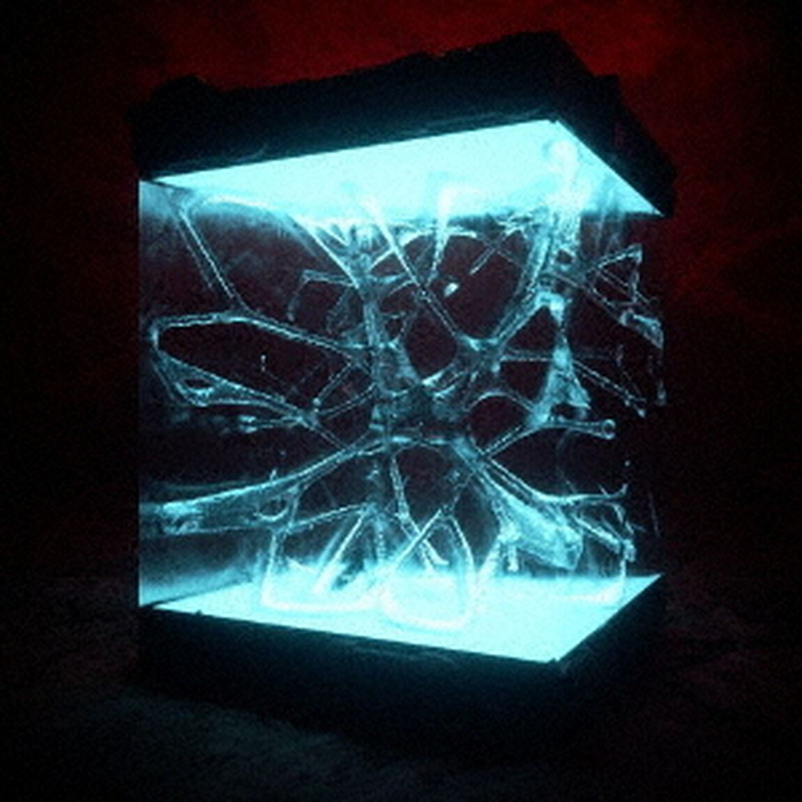 VOID（ＣＤ）