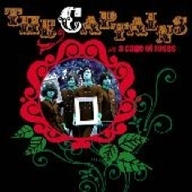 薔薇の檻（ＣＤ）