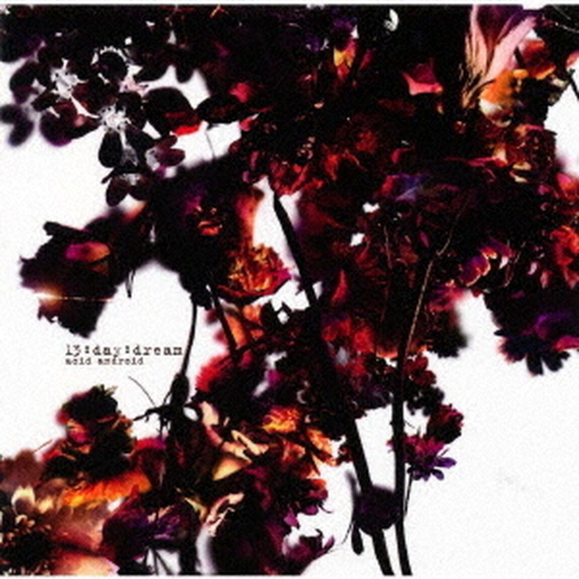 13：day：dream（ＣＤ）