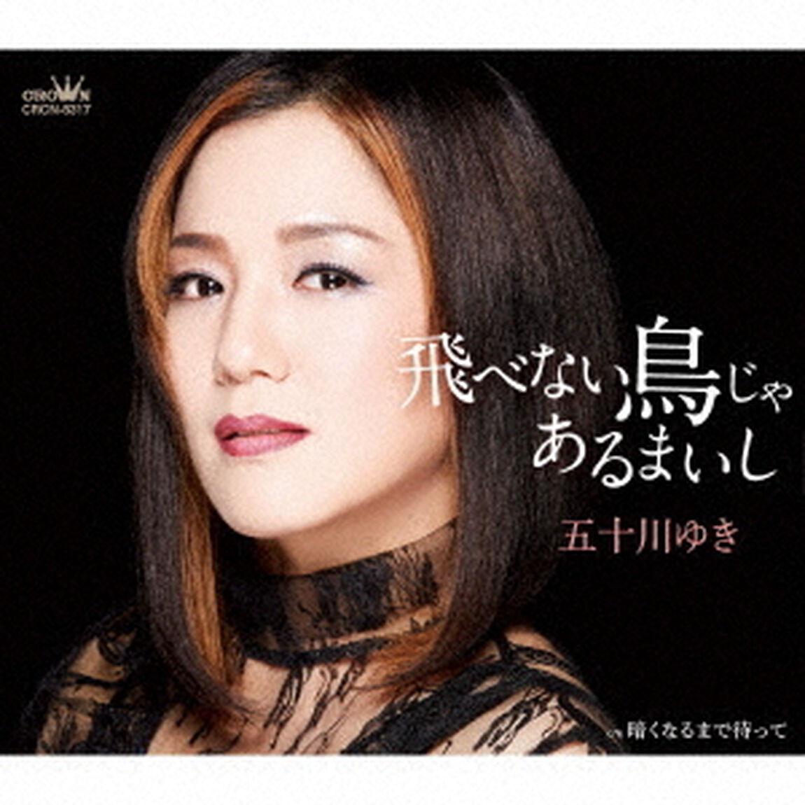 飛べない鳥じゃあるまいし（ＣＤ）