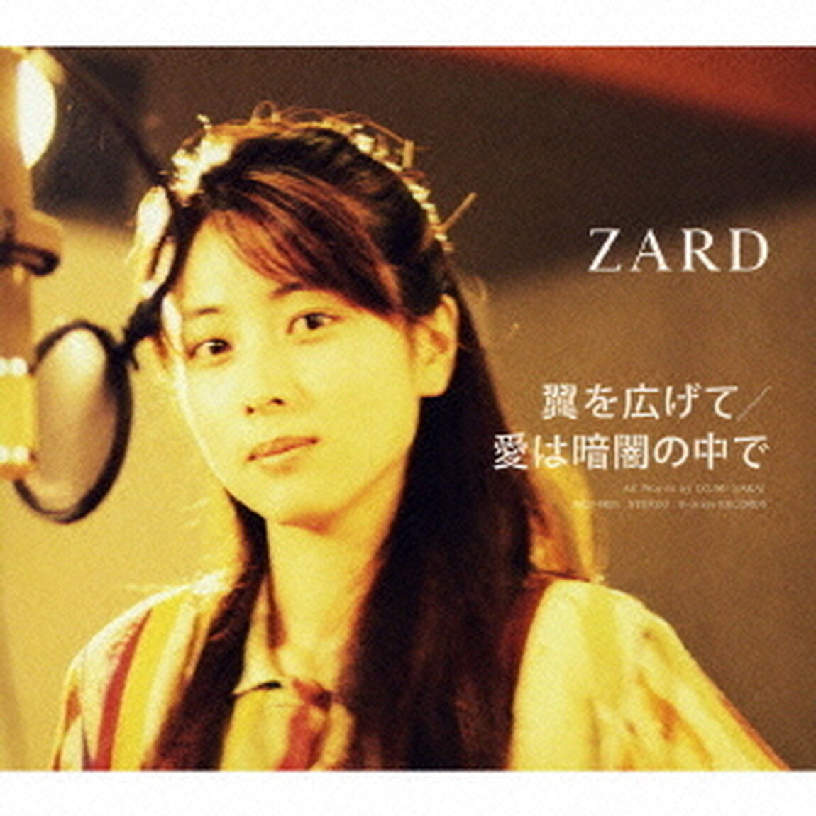 翼を広げて／愛は暗闇の中で（ＣＤ）