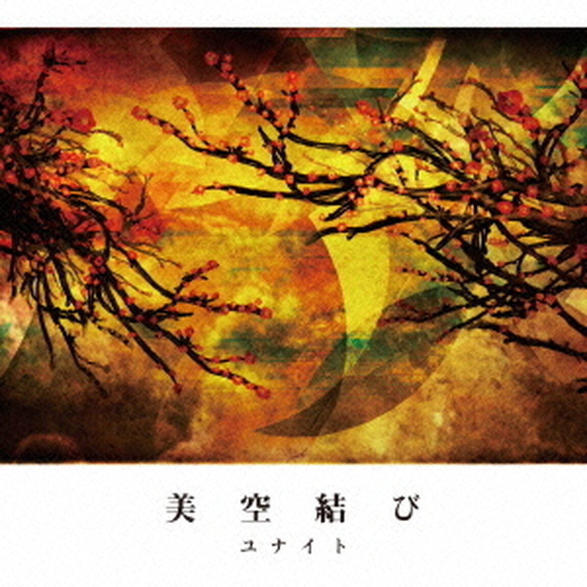 美空結び（ＣＤ）