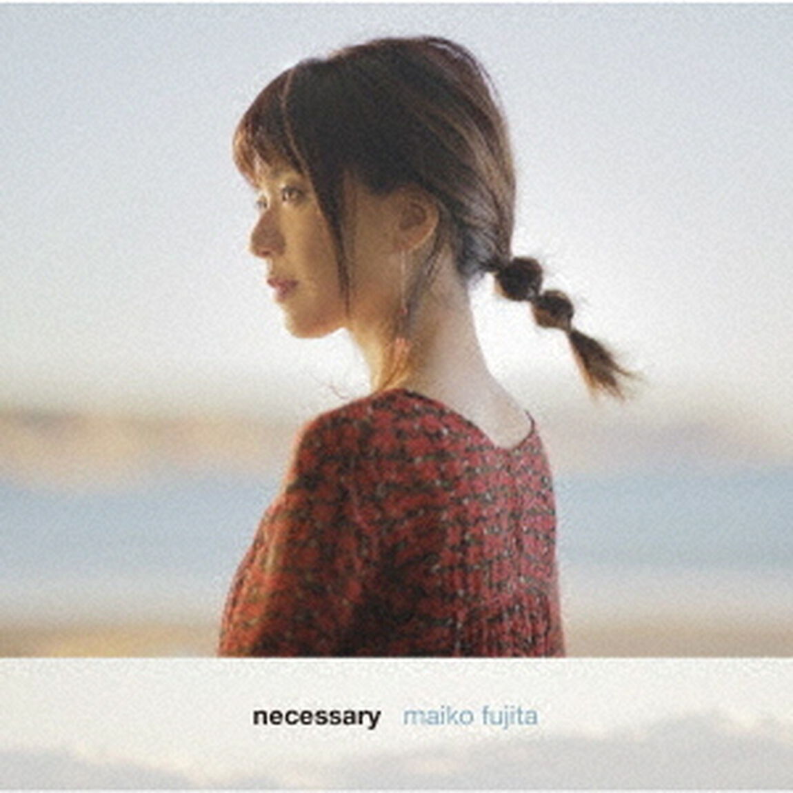 necessary（ＣＤ）