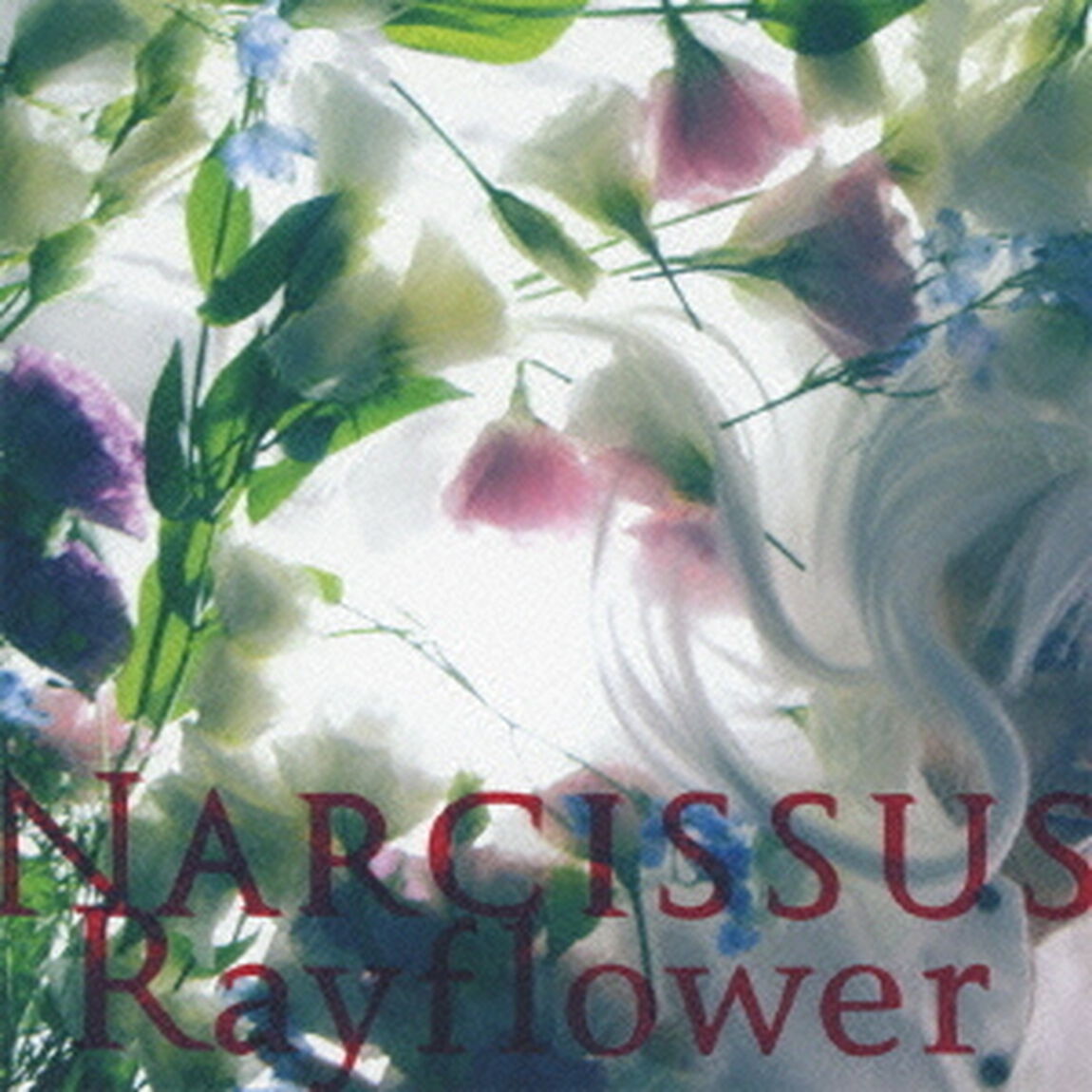NARCISSUS（ＣＤ）