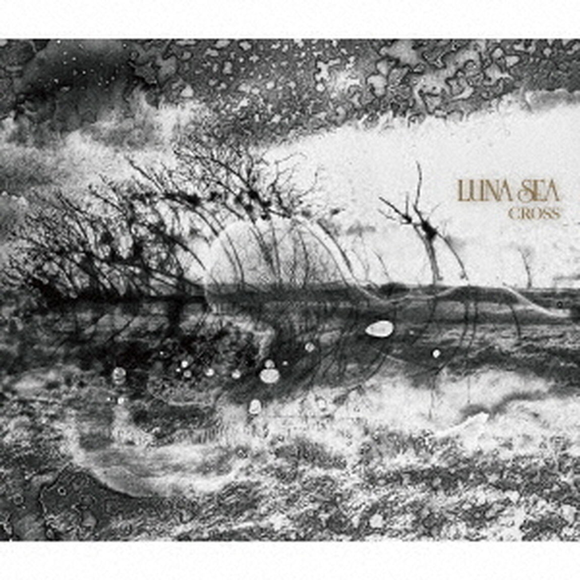 LUNA SEA／CROSS(初回限定盤A／CD+DVD)（ＣＤ）