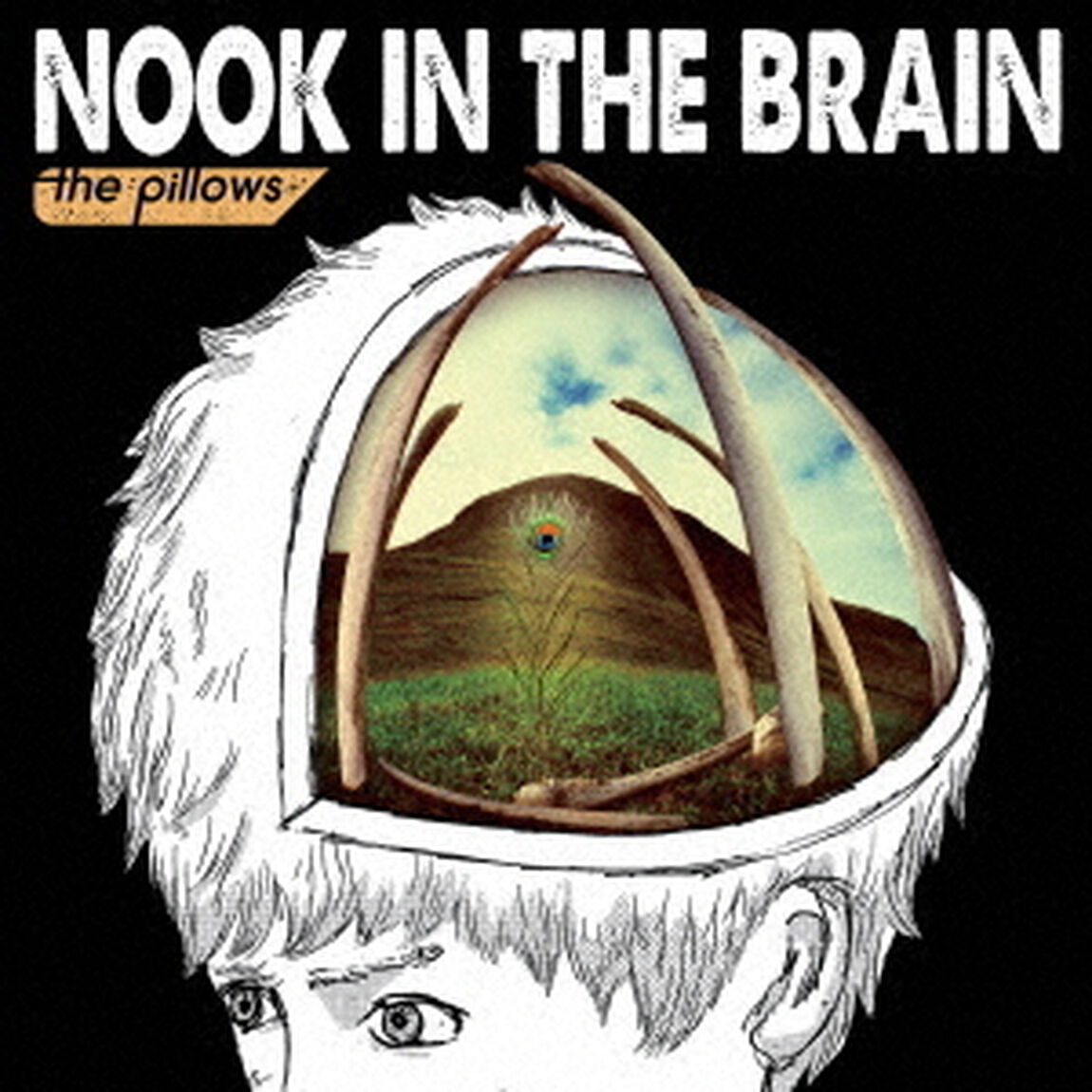 NOOK　IN　THE　BRAIN（ＣＤ）