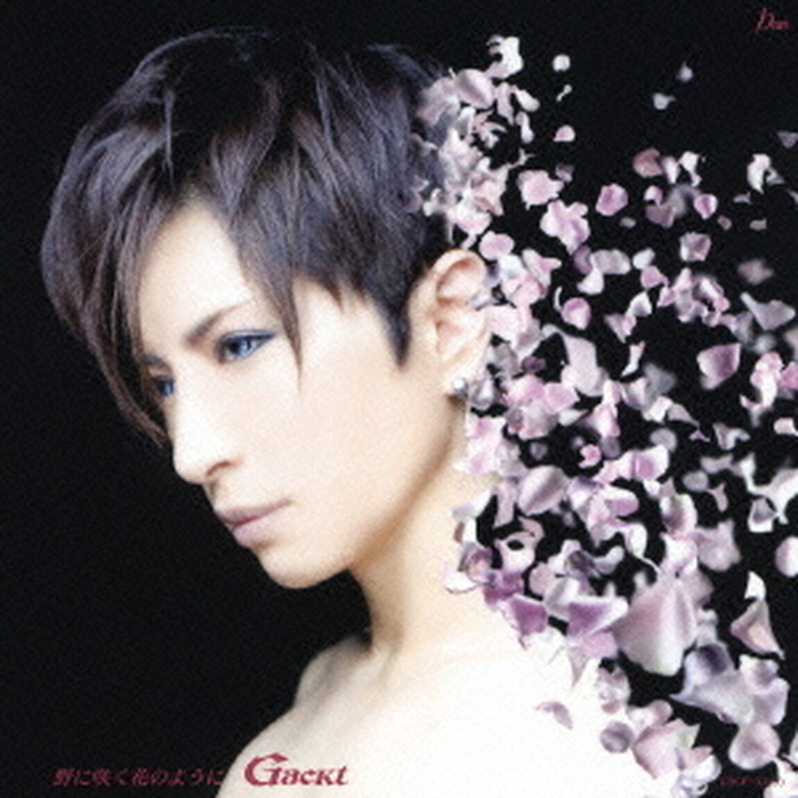 野に咲く花のように（ＣＤ）