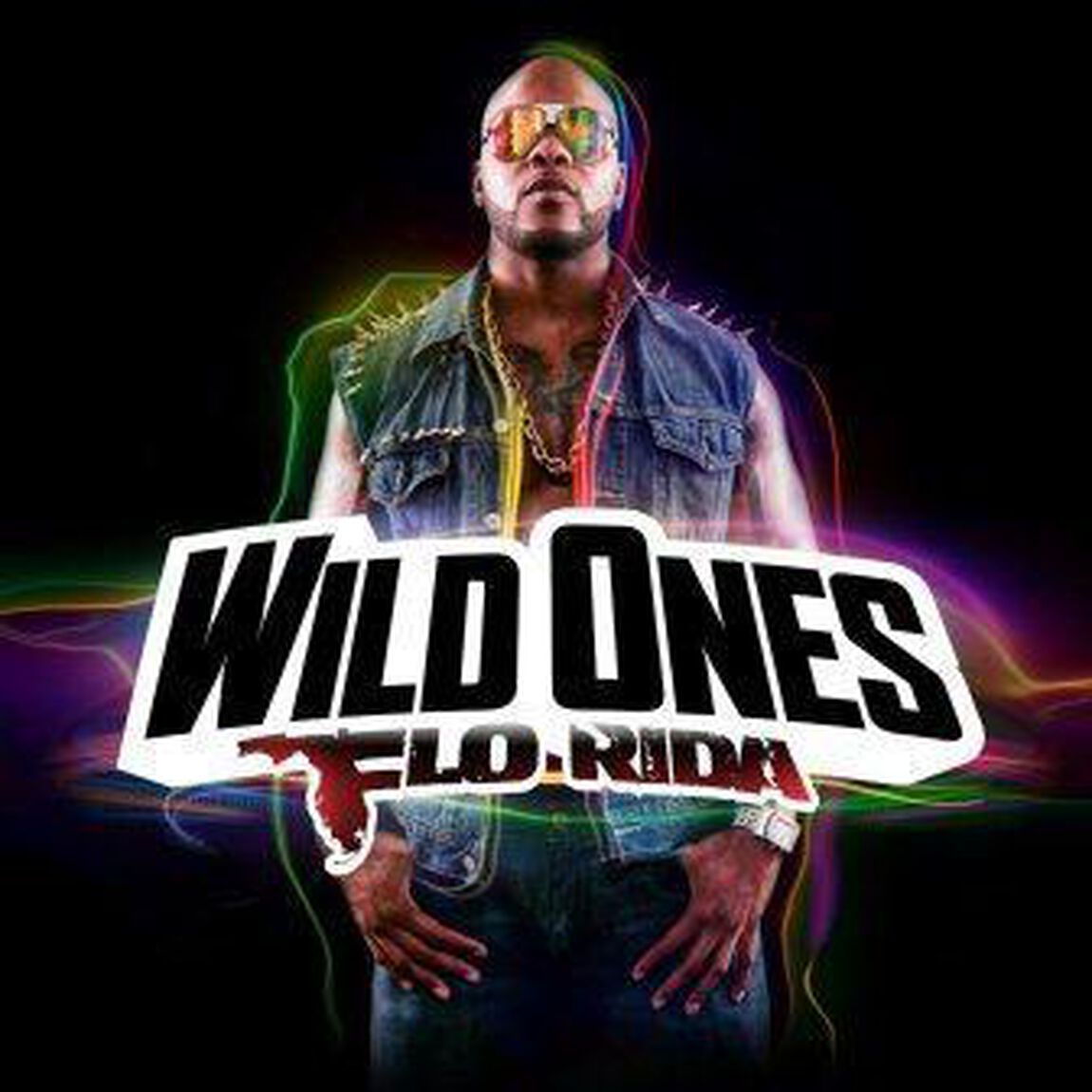 【輸入盤】Wild Ones（ＣＤ）