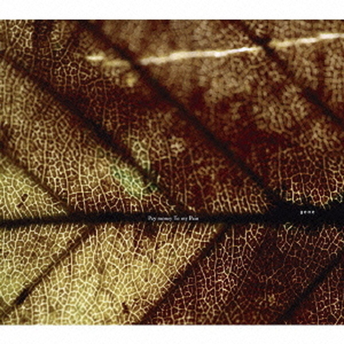 gene（ＣＤ）