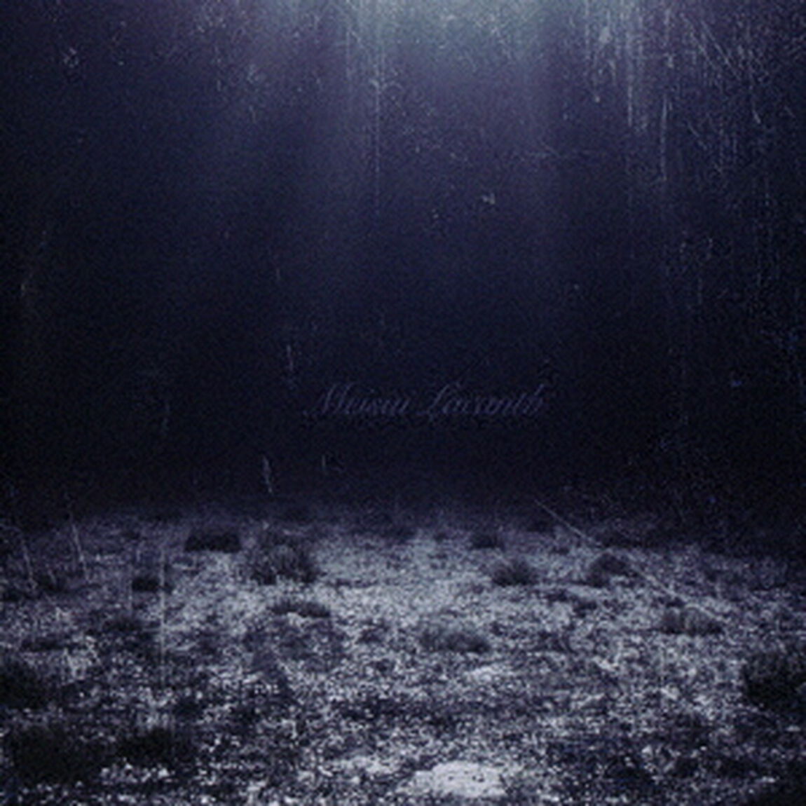 冥水ラカンス（ＣＤ）