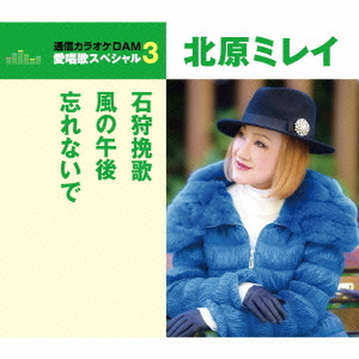石狩挽歌／風の午後／忘れないで（ＣＤ）