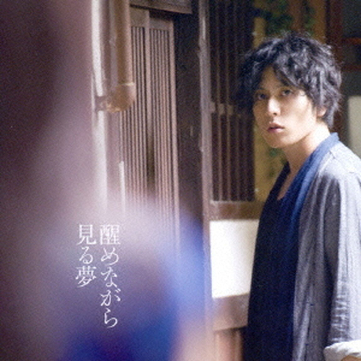 醒めながら見る夢（ＣＤ）